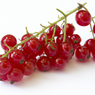 Johannisbeeren Rote Johannisbeeren an einem Zweig, glänzend und frisch.